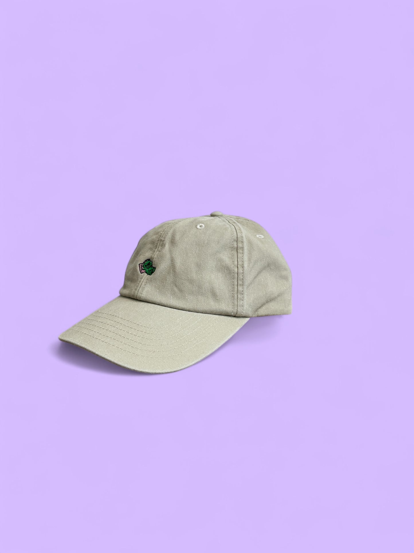 tired CARE BEARZ cap