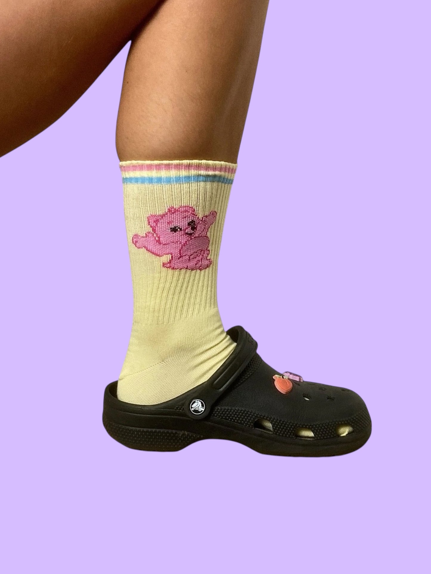 unpaid CARE BEARZ socks