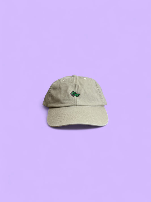 tired CARE BEARZ cap